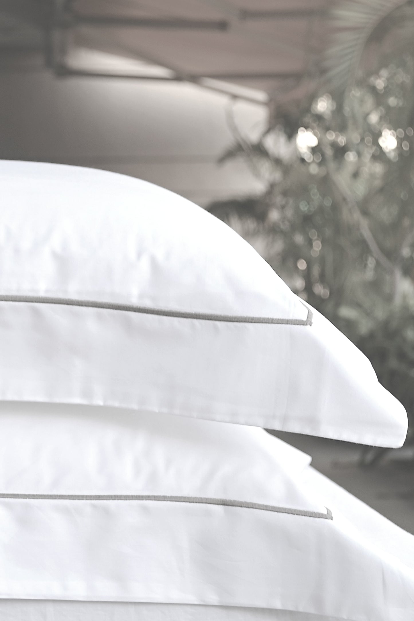 SIGNATURE - 300TC Cotton Percale Oxford Pillowcase (Set of 2) - Mocha